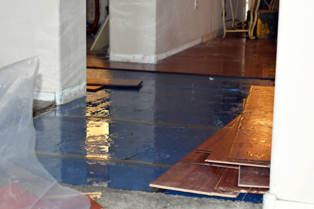Professional Basement Flood Cleanup technician working in Vinton, TX